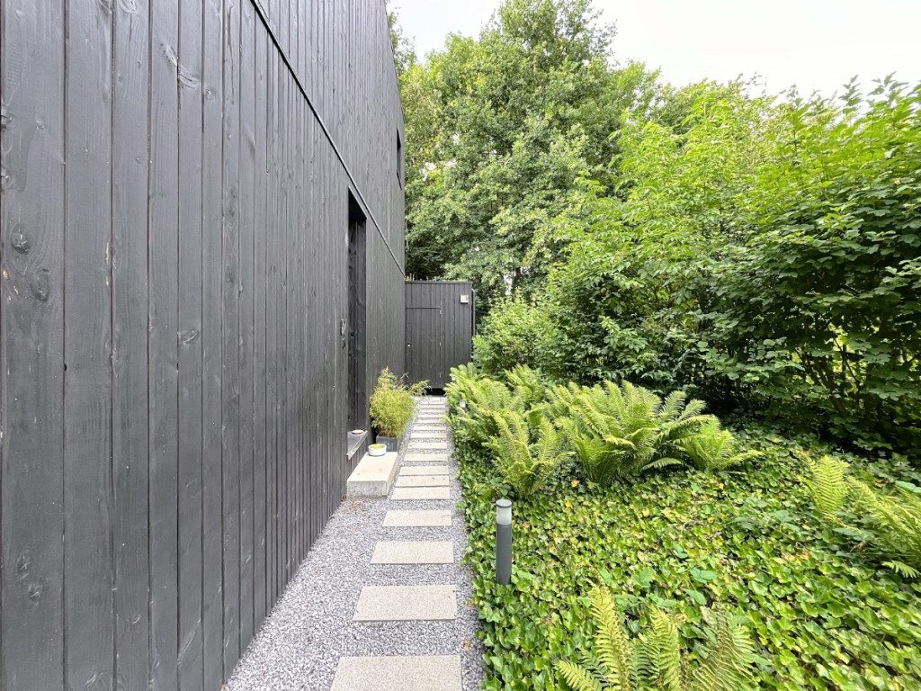 Rue des Petites Roches - 87 - - 4000