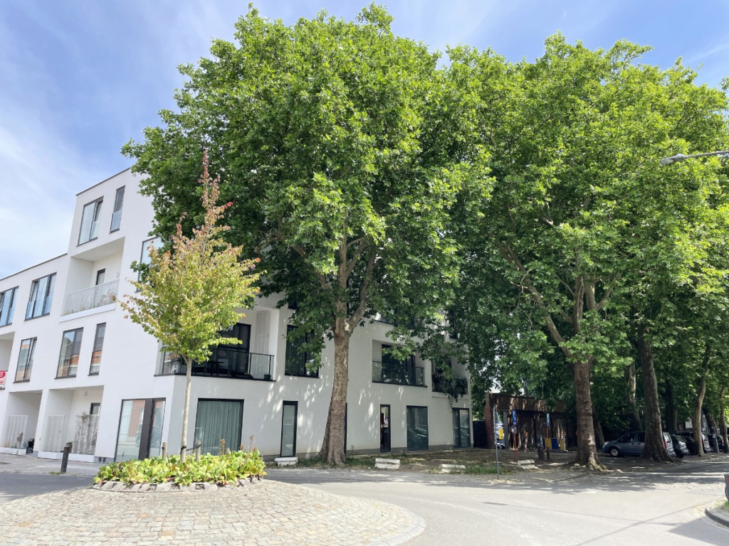 Rekollettenstraat - 27M - 023 - 8500