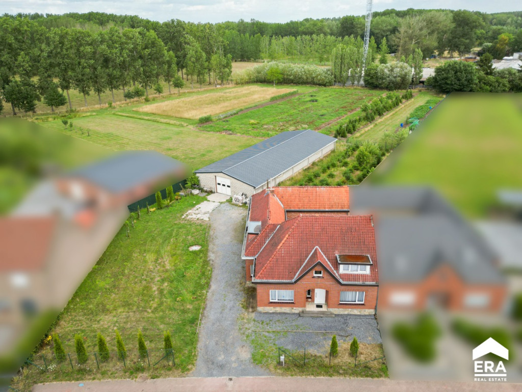 Runkelen-Dorp - 81 - - 3803