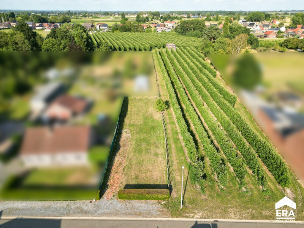 Smolderstraat - zn - - 3540