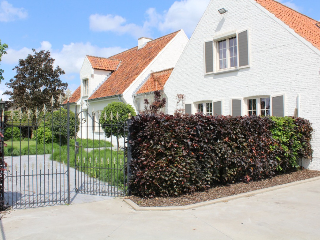 Provinciebaan - 50 - - 8880
