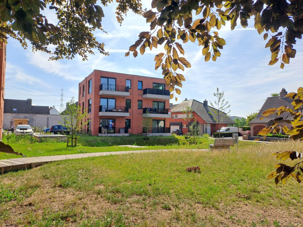 Sint-Rochusstraat - 42 - 0102 - 8540