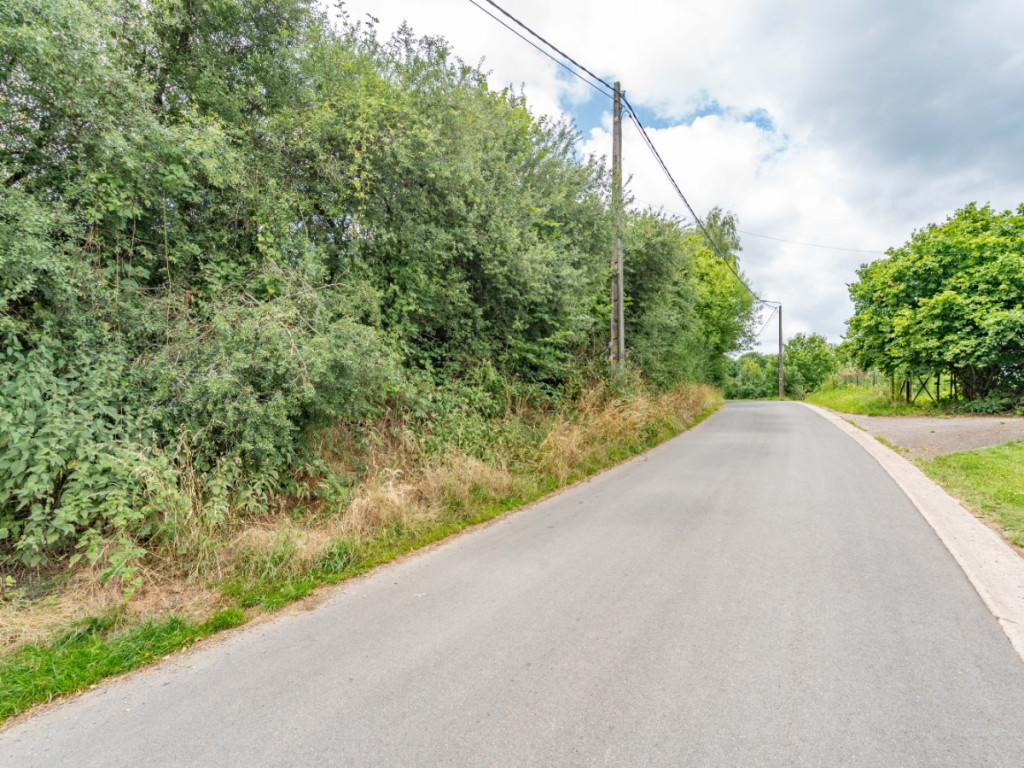 Des blés - 44 - LOT 1 - 6717