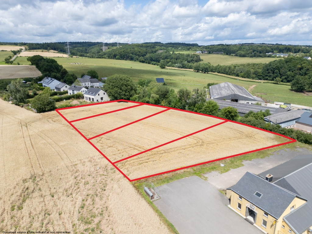 Des blés - 44 - LOT 1 - 6717
