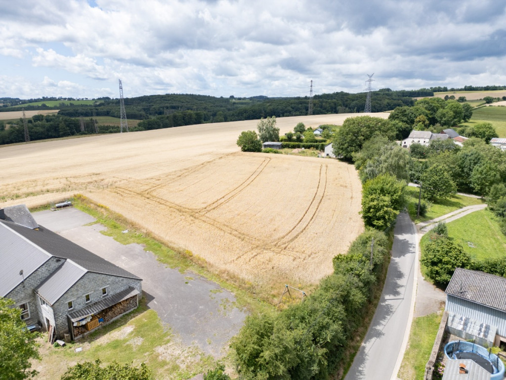 Des blés - 44 - LOT 4 - 6717