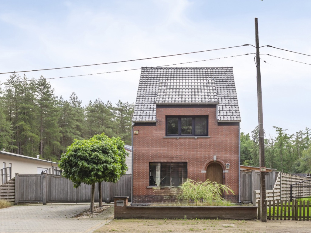 Sassenhout - 6 - - 2290