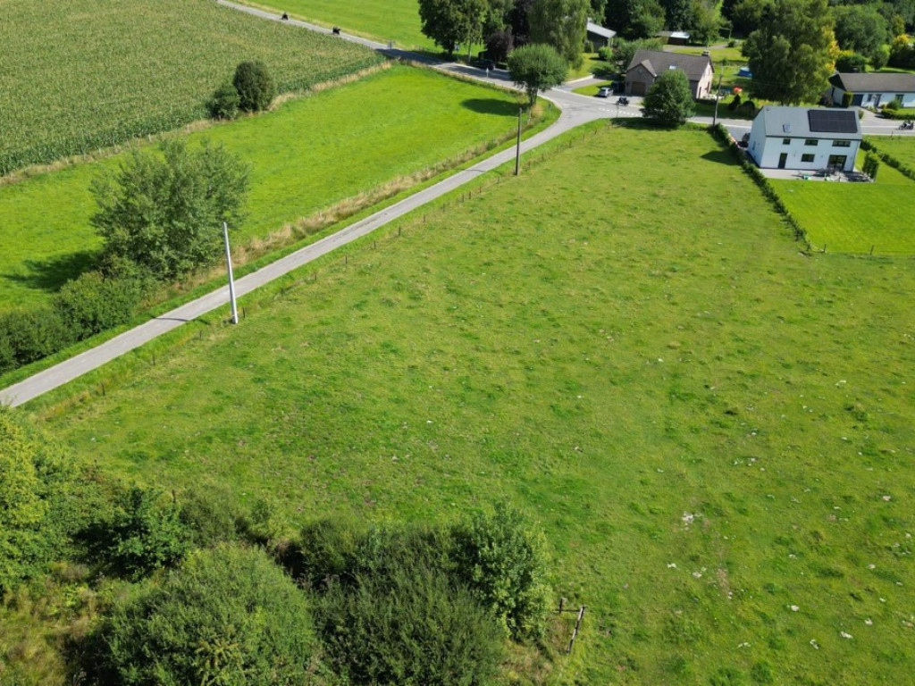 Petit Sart - 2 - 2 - 4990