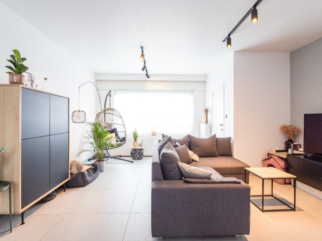 Kouterstraat - 46 - - 8550