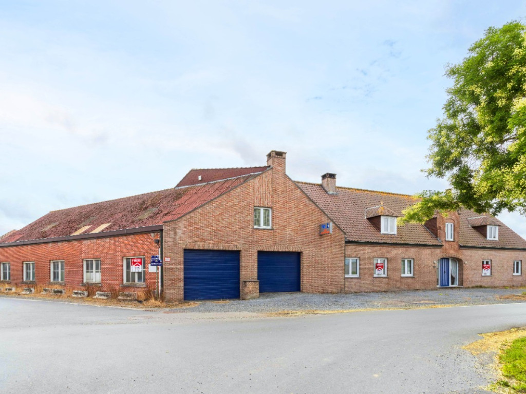 Manestraat - 42 - - 8870