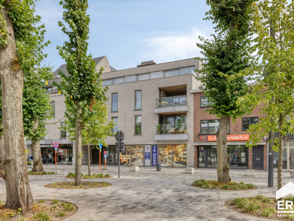 Dorp - 42 - 03.01 - 3920