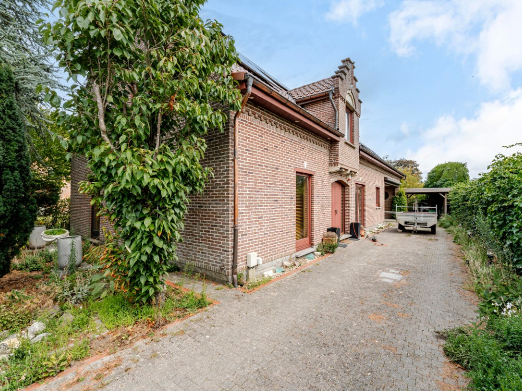 Dorpsdam - 56 - - 9120