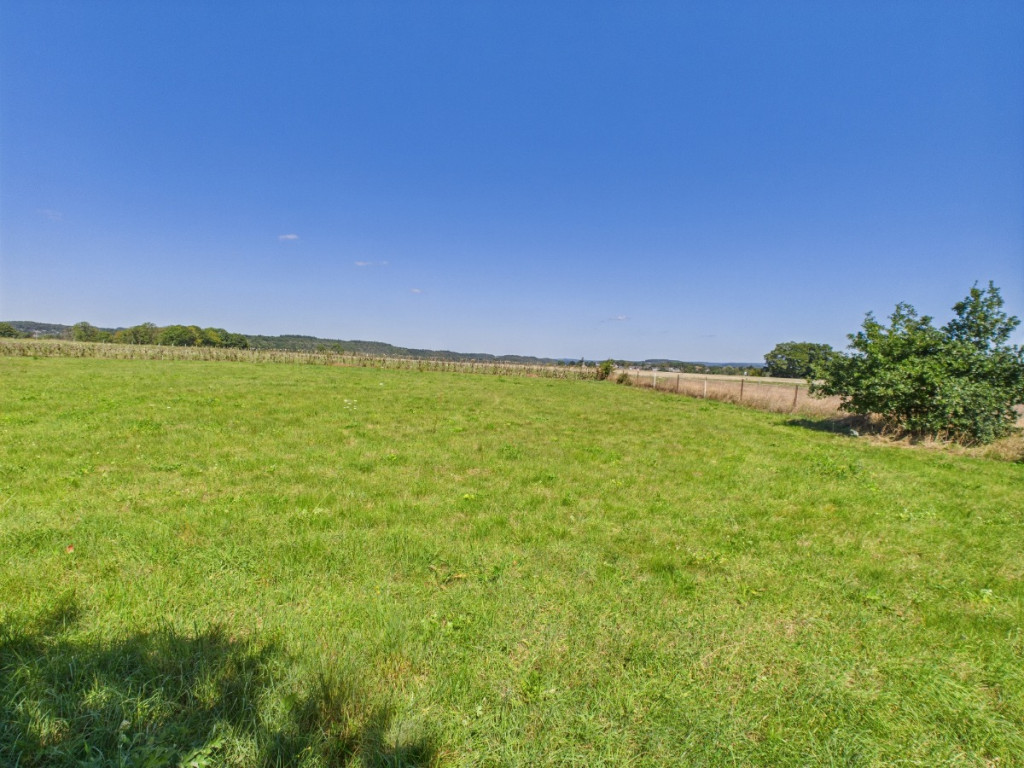 Petite Enneille - 0 - LOT 7 - 6940