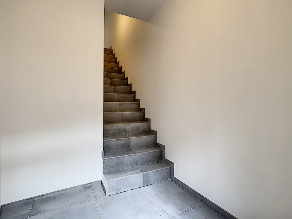 Rue du Coq - 2 - - 4500