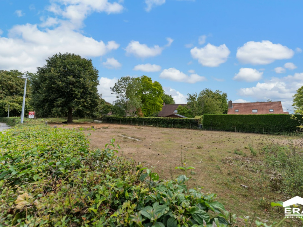 Sint-Omerlaan - 18+ - - 8900