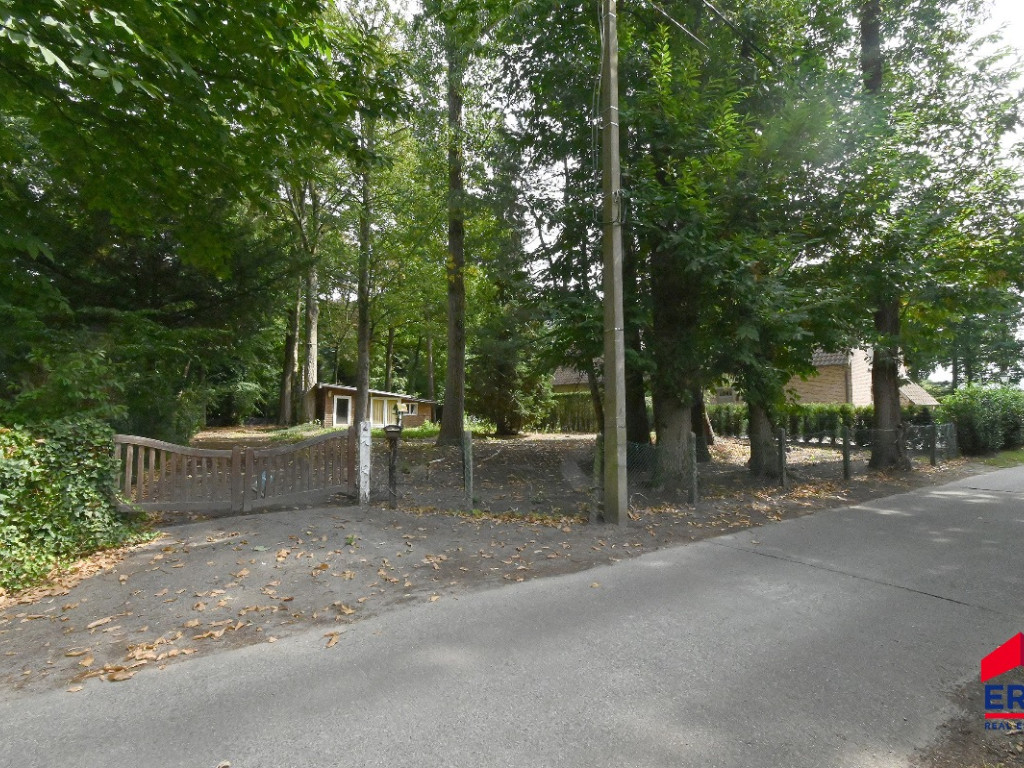 Parklaan - 4 - - 9932