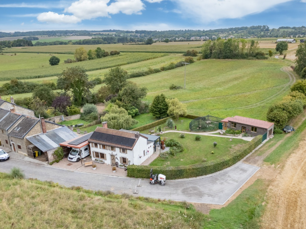 Rue des Stepennes - 16 - - 4160