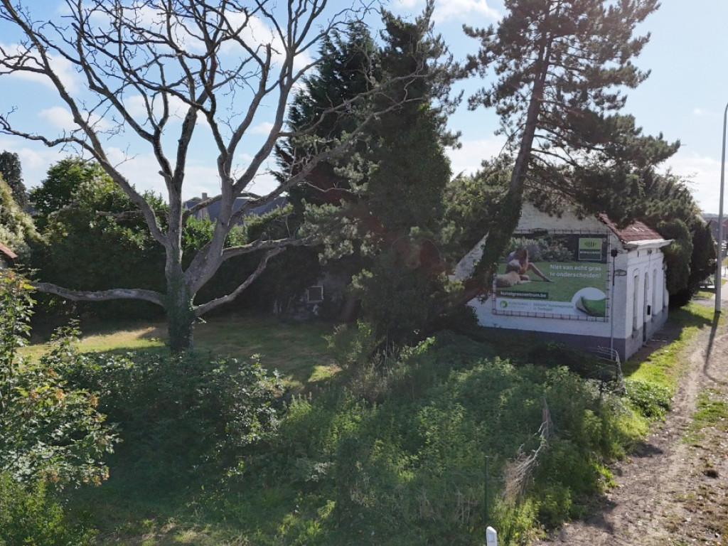 Grote Baan - 176 - - 9920