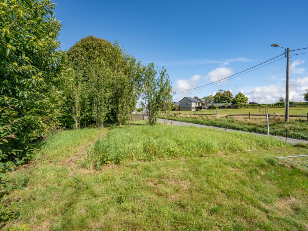 Rue de Framont - 21 - - 6850