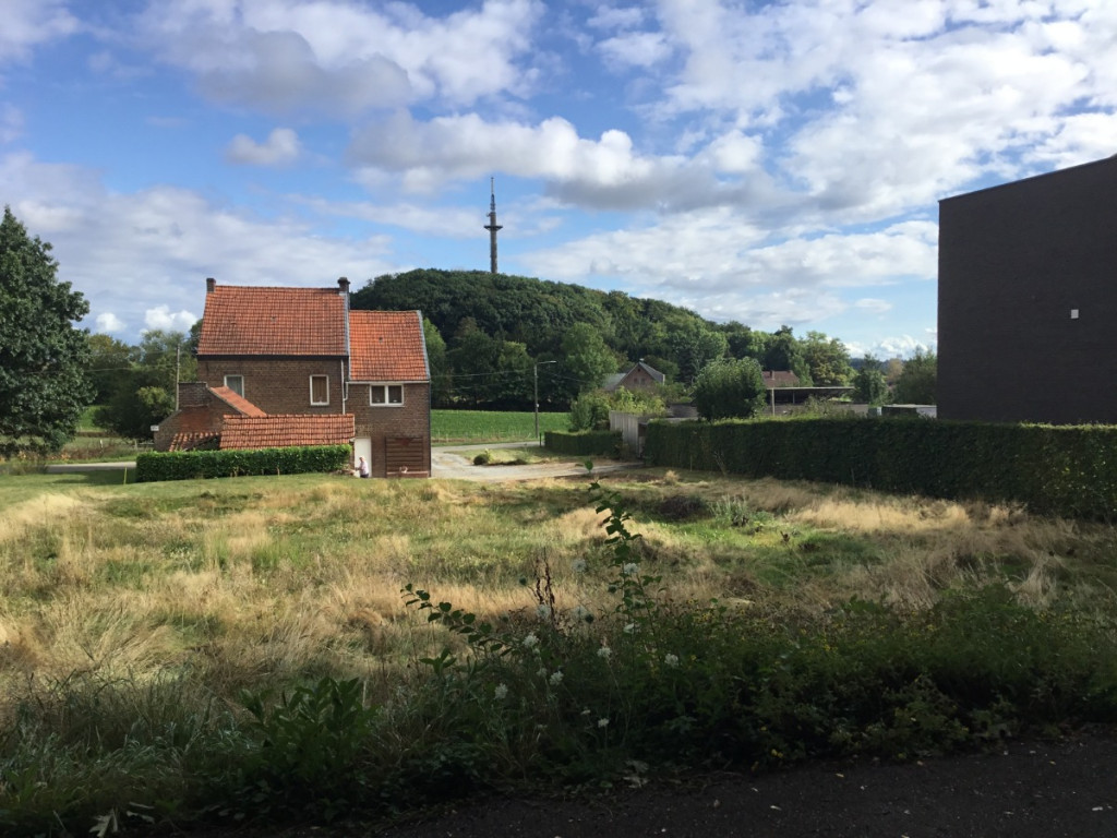 Torenstraat - 54+ - Hulsbos - 3380