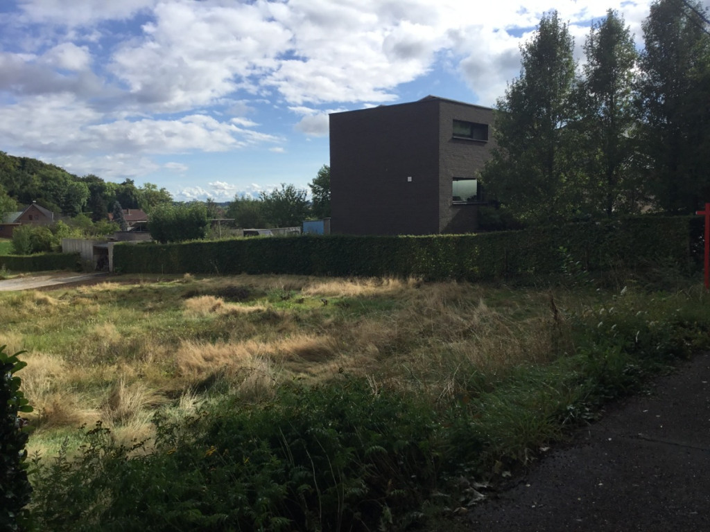 Torenstraat - 54+ - Hulsbos - 3380