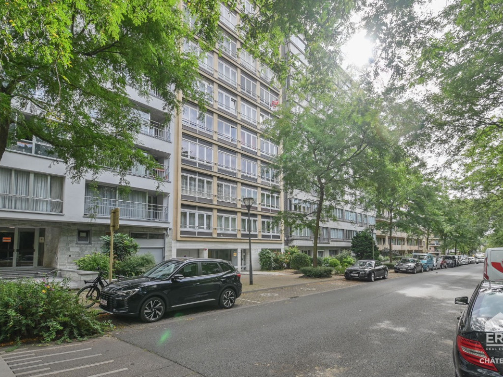 Avenue de la Basilique - 363 - 13 - 1081