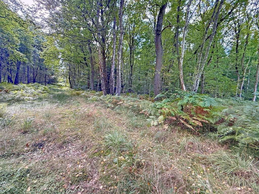 Rue du Bois des Manants - - - - 4052