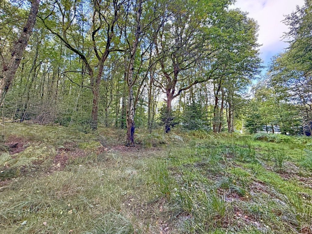 Rue du Bois des Manants - - - - 4052