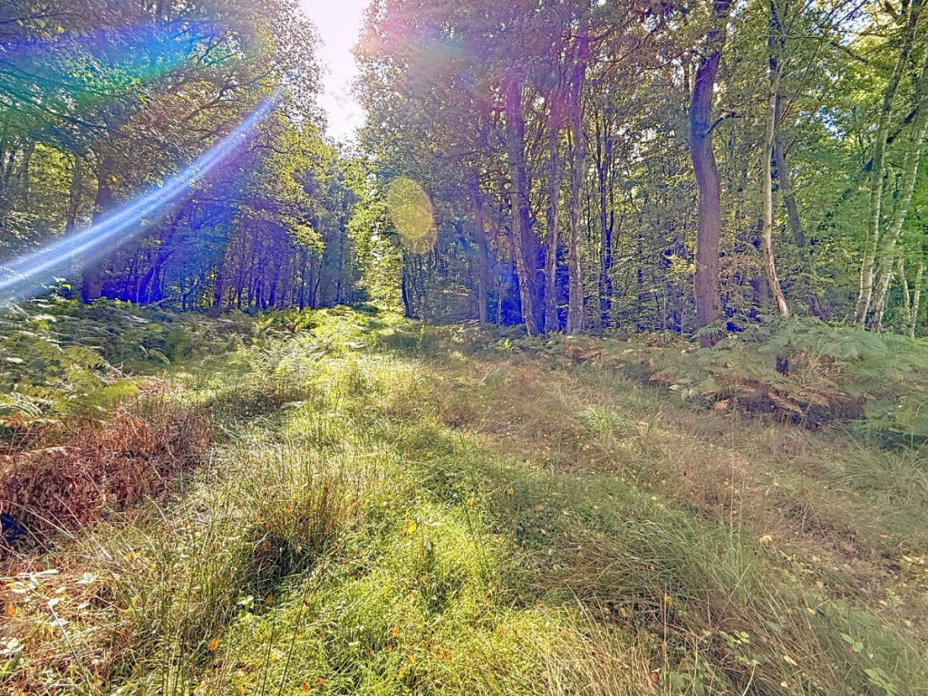 Rue du Bois des Manants - - - - 4052