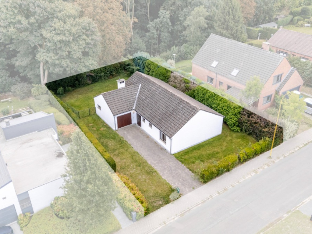 Leeuwerikenstraat - 39 - - 1850