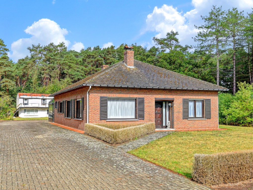 Processieweg - 16 - - 3201