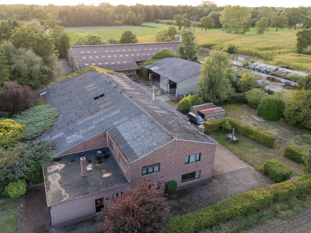 Meierbroekstraat - 5 - - 3950