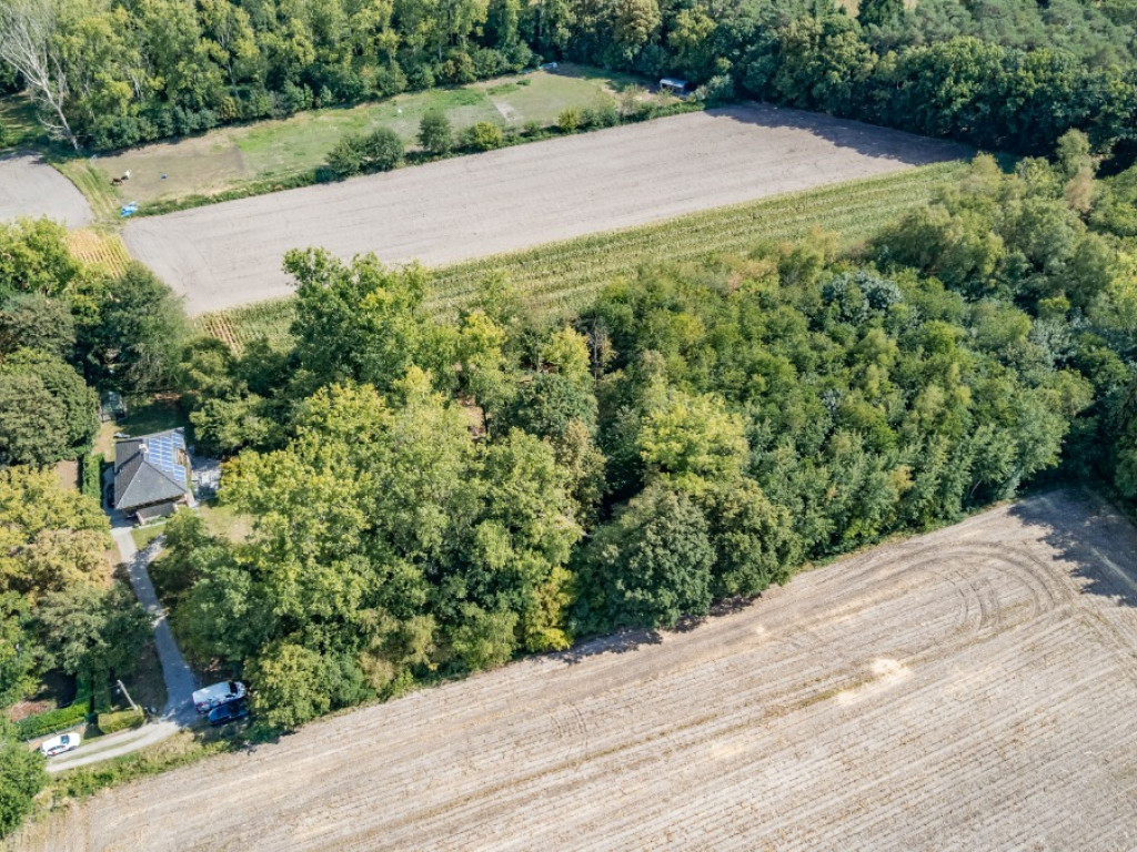 "Weidevelden" - (ZN) - - 9185