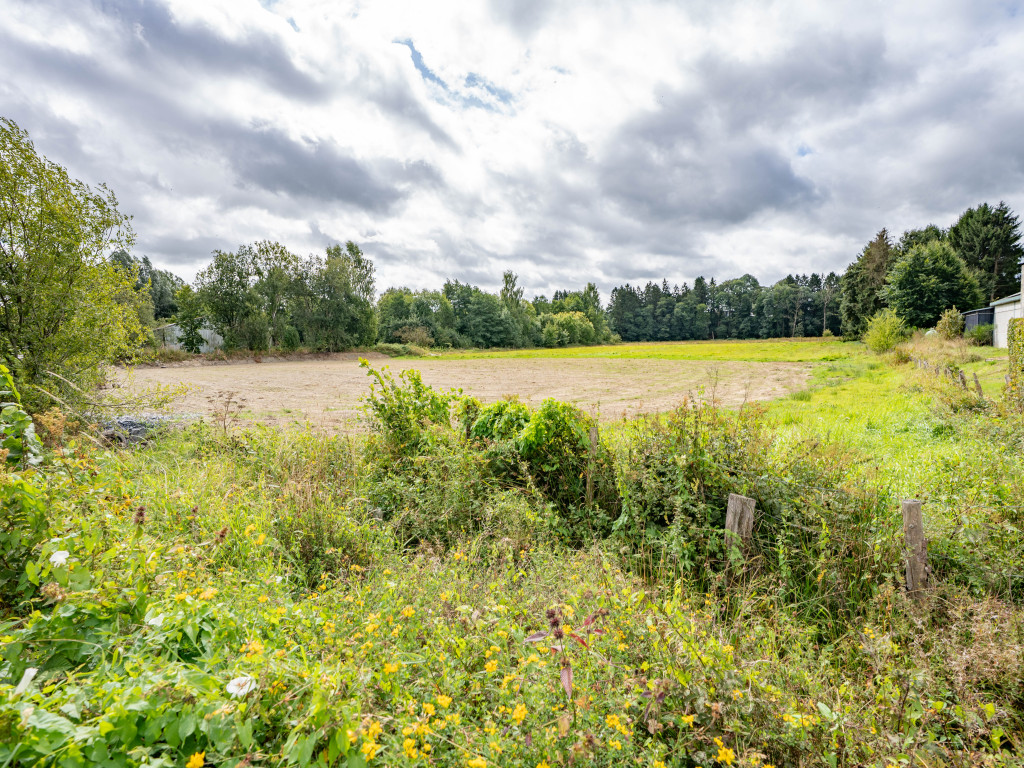 Rue des Etangs - 0 - - 6680