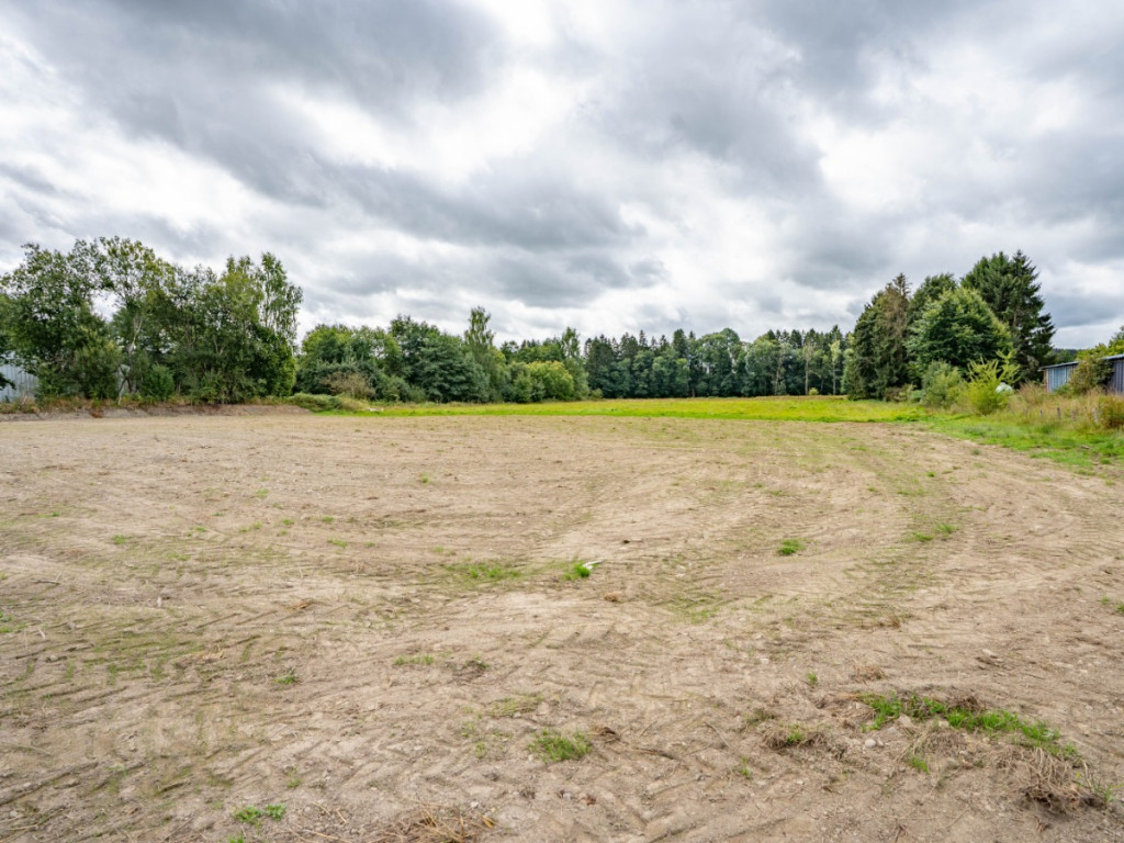 Rue des Etangs - 0 - - 6680