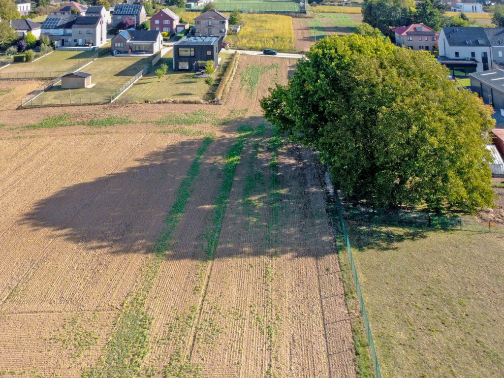Molenweg - 33 - - 3080