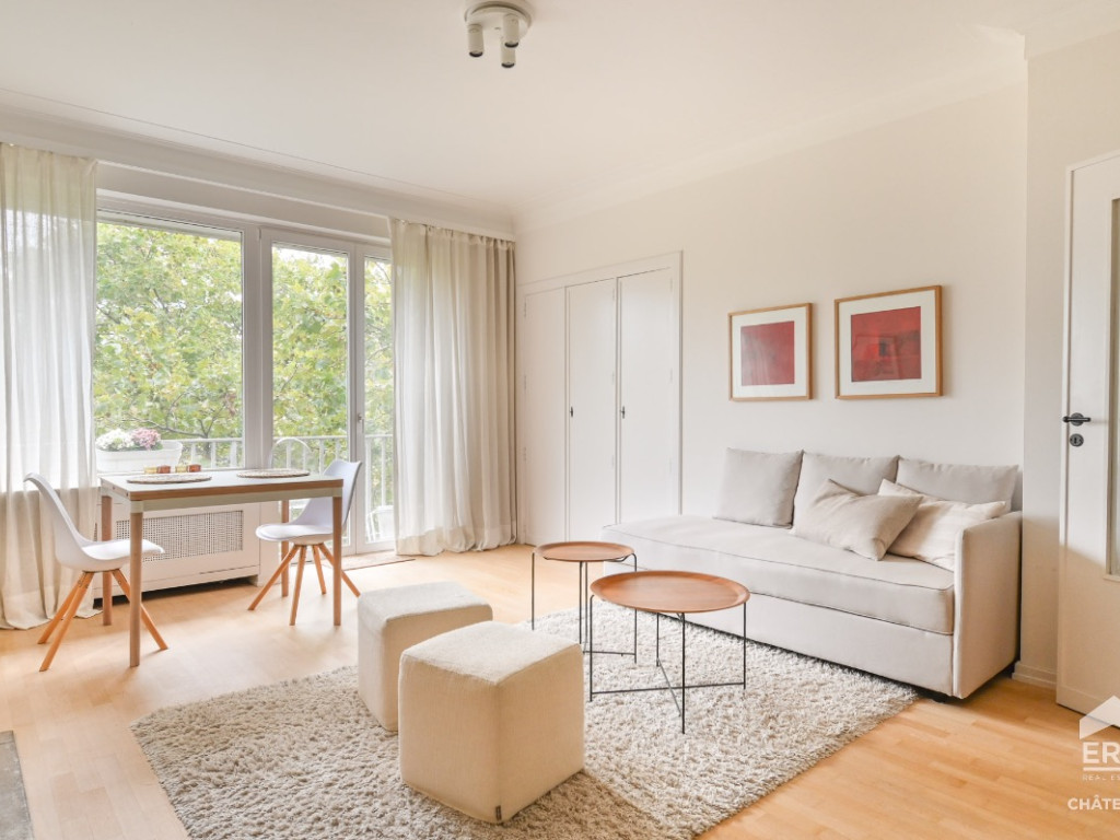 Avenue Louise - 223 - - 1000