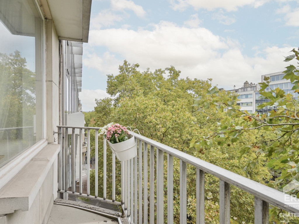 Avenue Louise - 223 - - 1000
