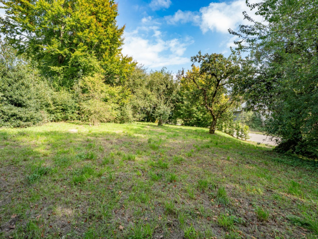 Saint Antoine - 10 - - 6640