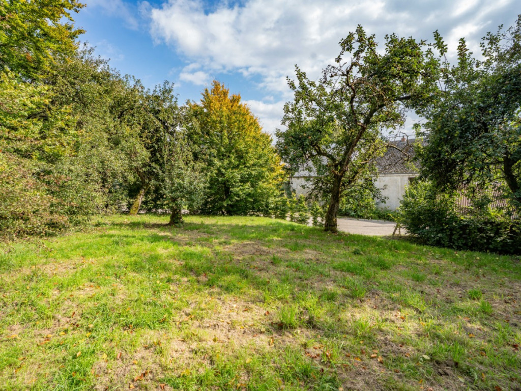 Saint Antoine - 10 - - 6640