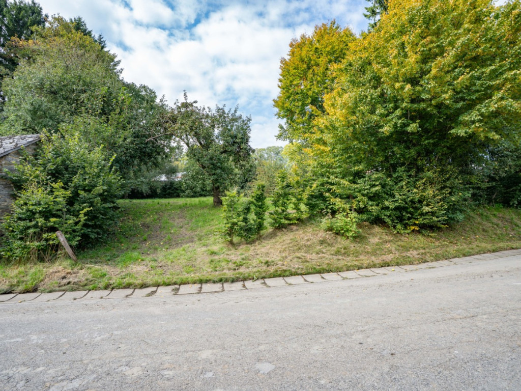 Saint Antoine - 10 - - 6640