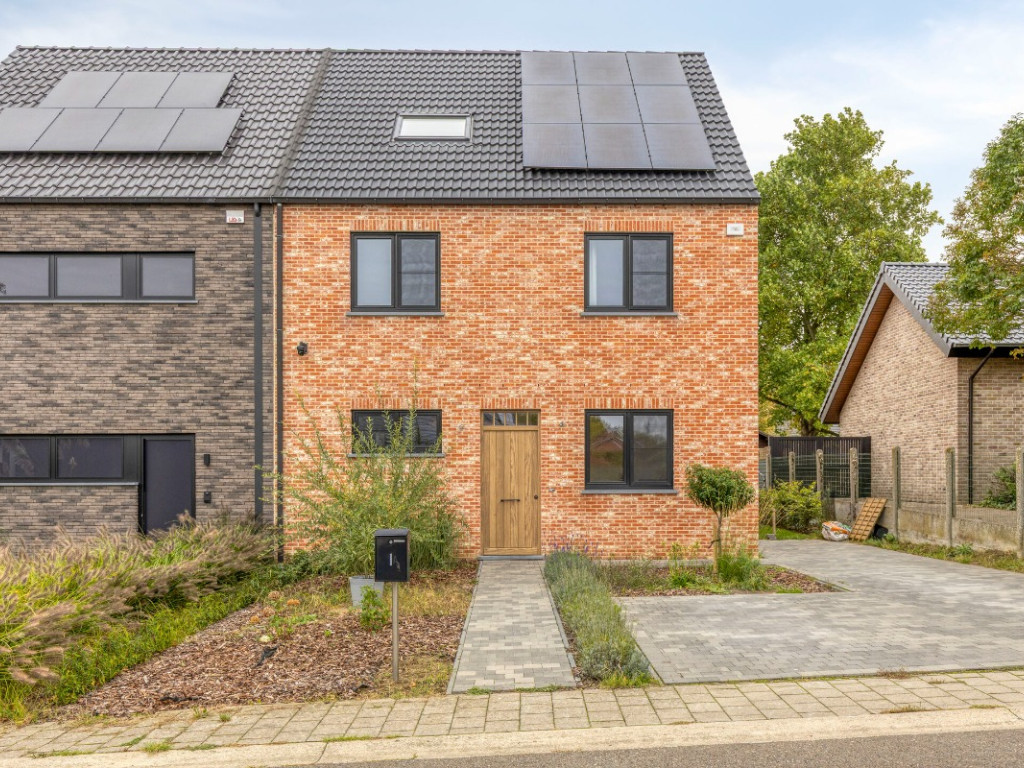 Koesteert - 1a - - 2580