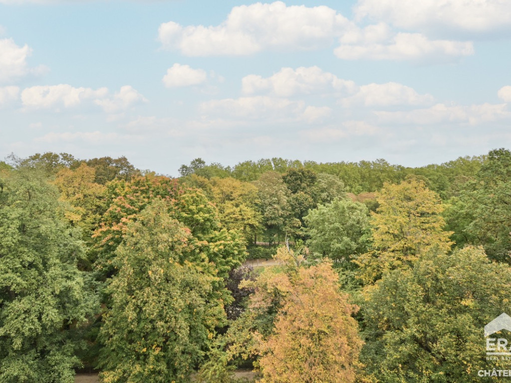 Avenue des Nerviens - 7 - - 1040