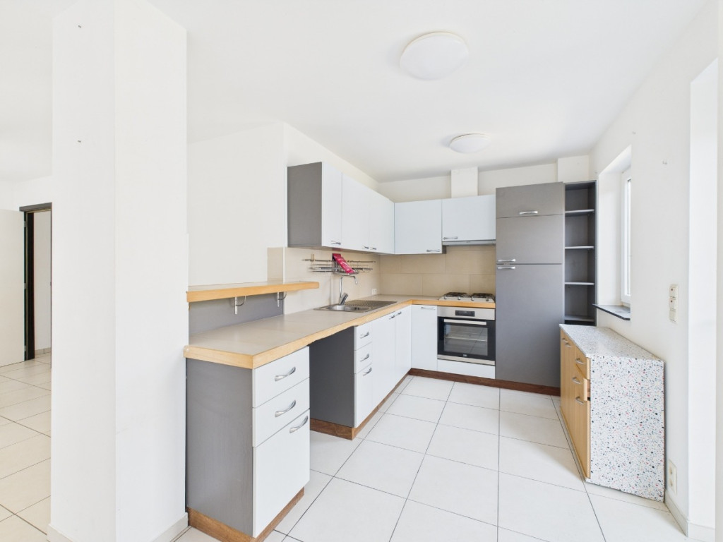 Happe - 8 - C - 5590