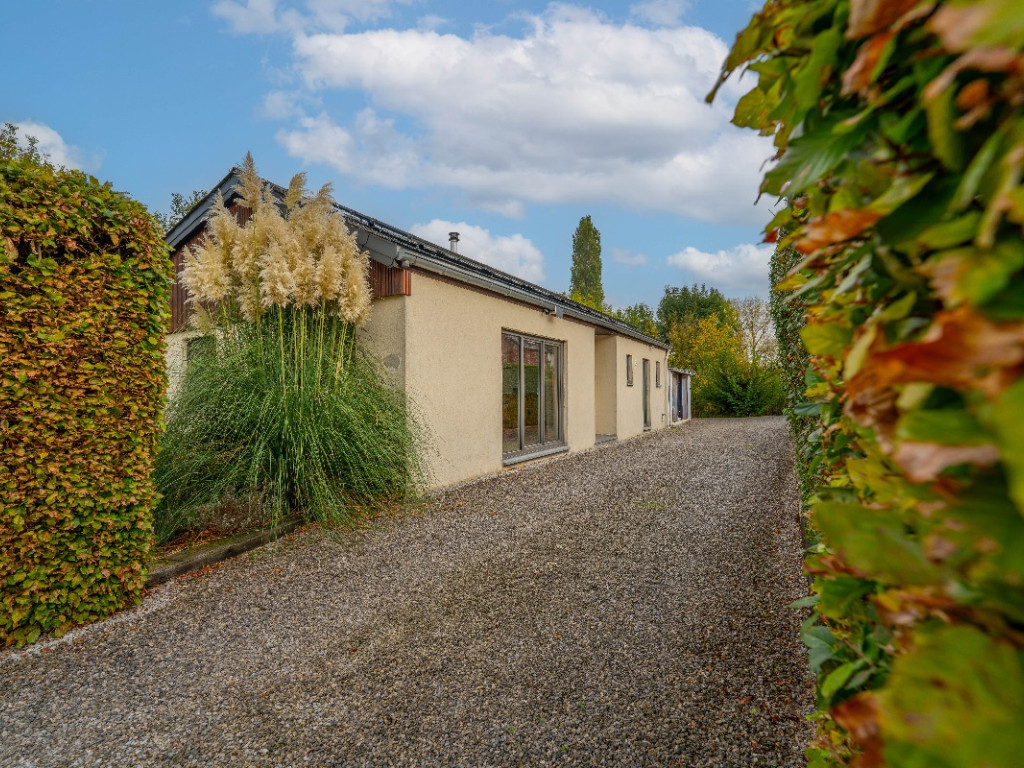Rue des Marais - 59 - - 1360