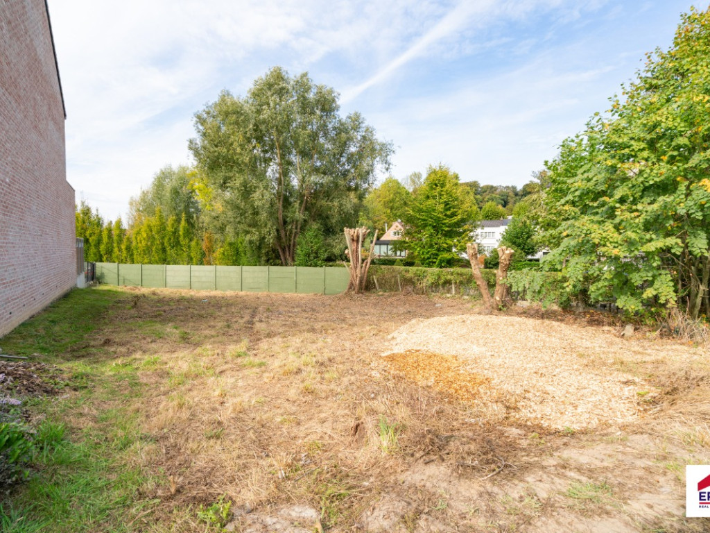 Brouwerijstraat - ZN - - 1653