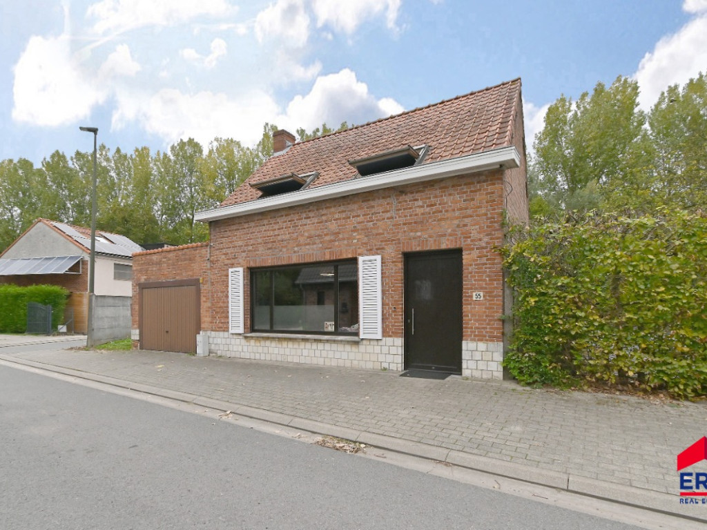 Lievebarm - 55 - - 9990