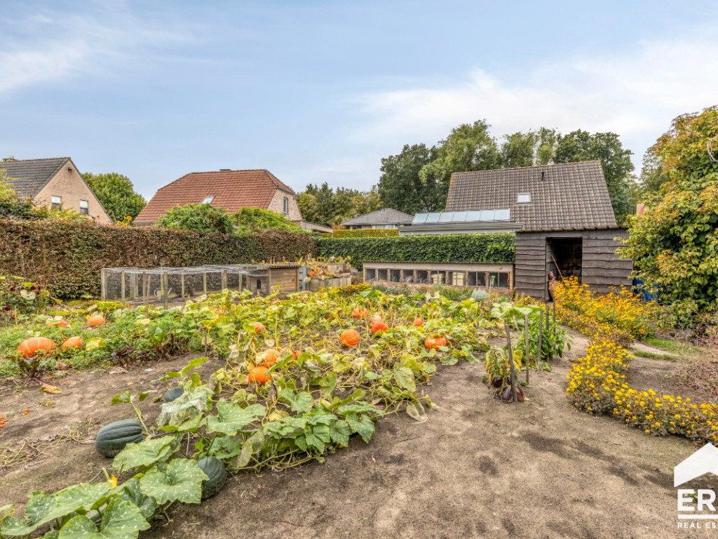 Waterstraat - 9+ - - 8730