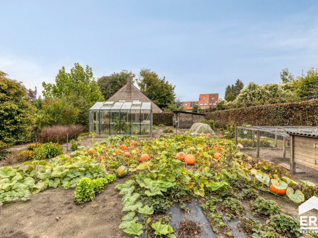 Waterstraat - 9+ - - 8730