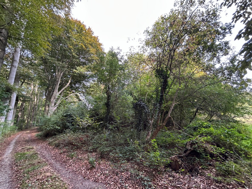 Kesselse Heide - de Schommers - 3 - - 2560