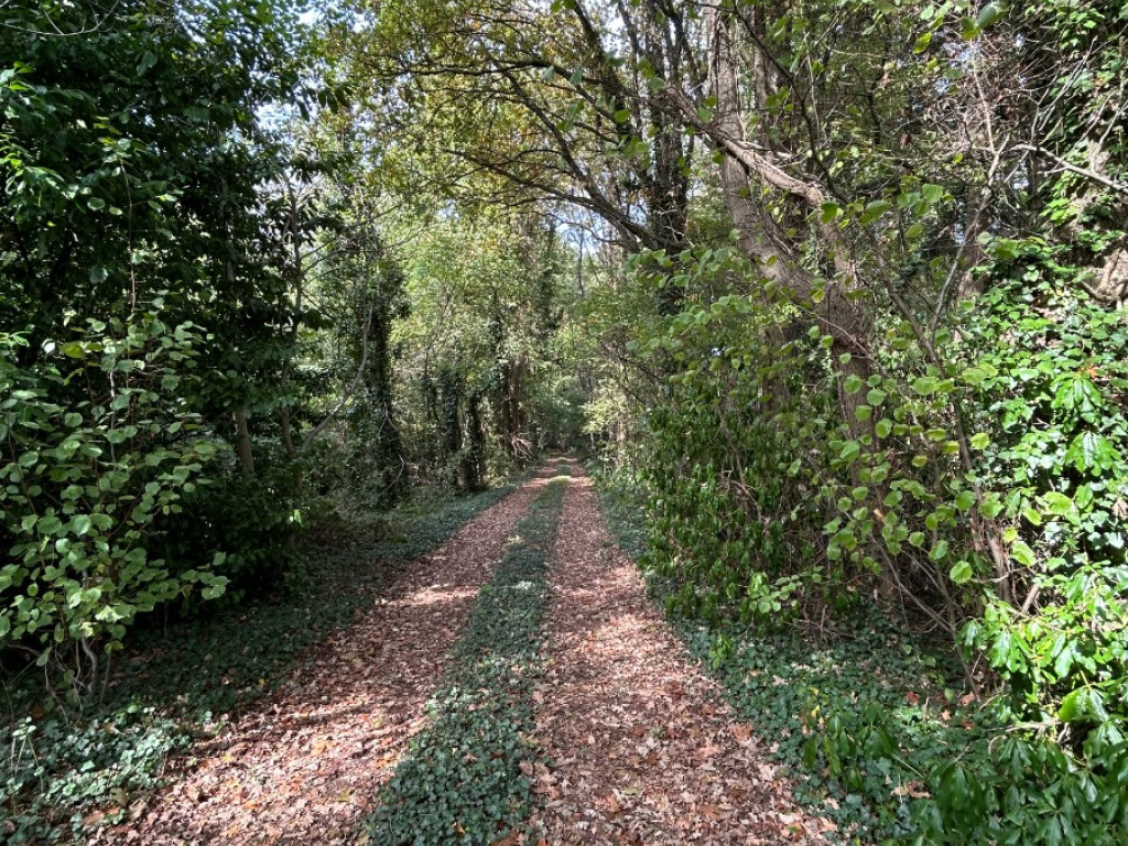 Kesselse Heide - de Schommers - 3 - - 2560